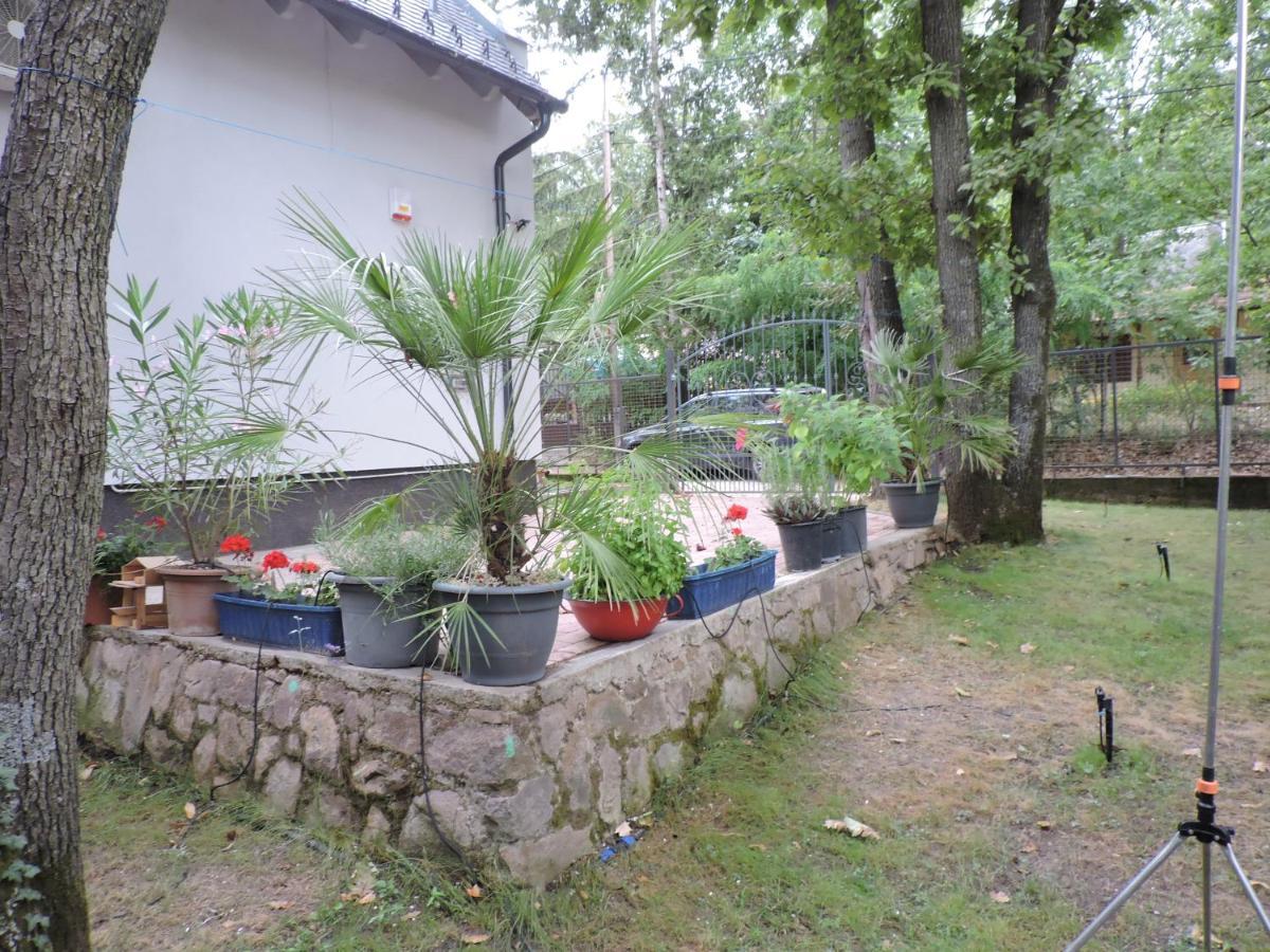 Szepezd Oak Villa Balatonszepezd Bagian luar foto